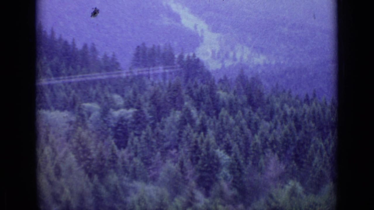 1962 8mm aerial view near Lucerne, Switzerland, showing dense pine forest, distant haze, and a faint line across the hillside.