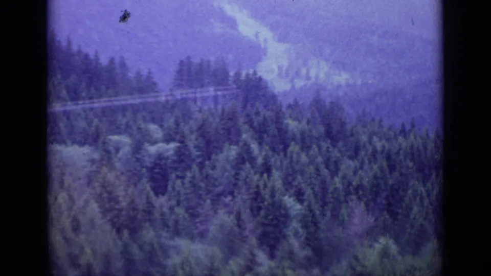 1962 8mm aerial view near Lucerne, Switzerland, showing dense pine forest, distant haze, and a faint line across the hillside.