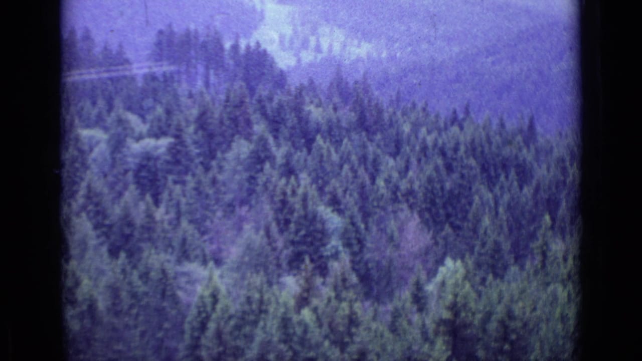 Aerial 8mm frame from Lucerne, Switzerland, with evergreen treetops filling the view and a pale track crossing the distant hillside.