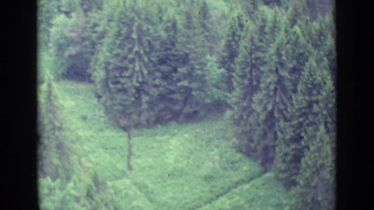 Aerial 8mm view near Lucerne showing evergreen trees around a pale green clearing, with soft focus and visible film-frame edges.