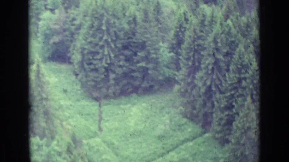 Aerial 8mm view near Lucerne showing evergreen trees around a pale green clearing, with soft focus and visible film-frame edges.
