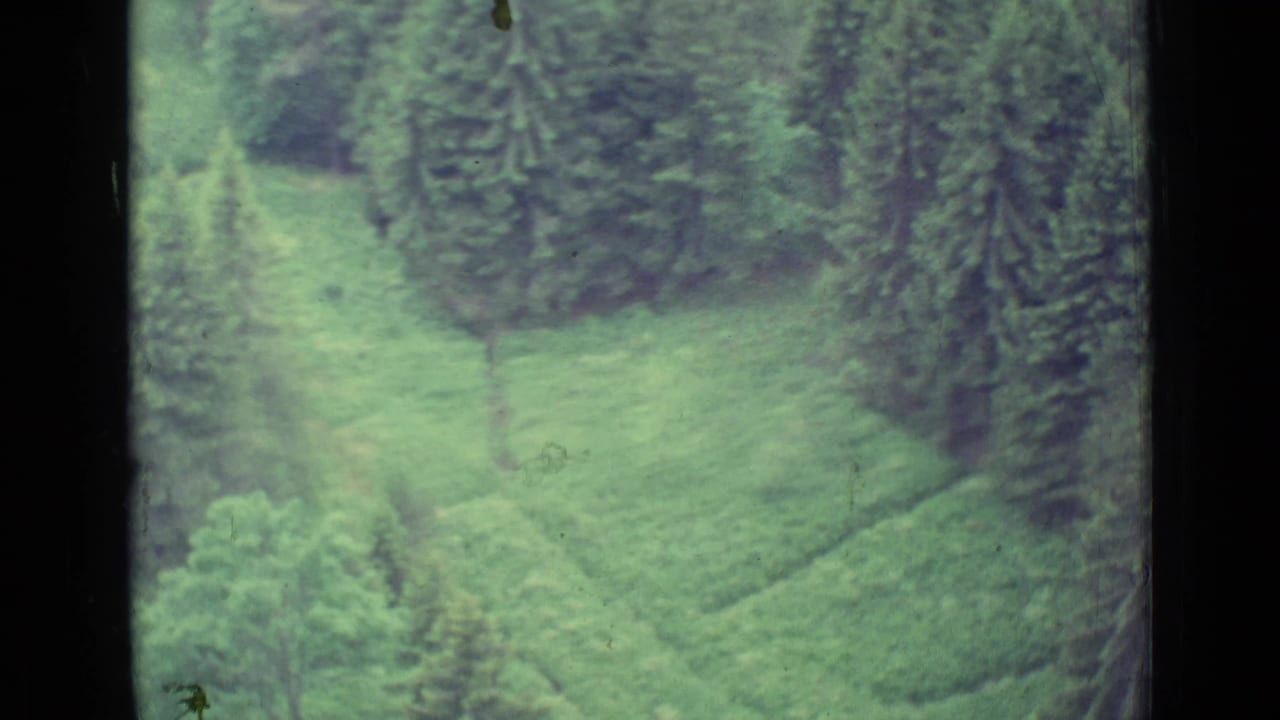 1962 Lucerne-region 8mm frame showing a soft high-angle view of green hillside fields bordered by evergreen trees.