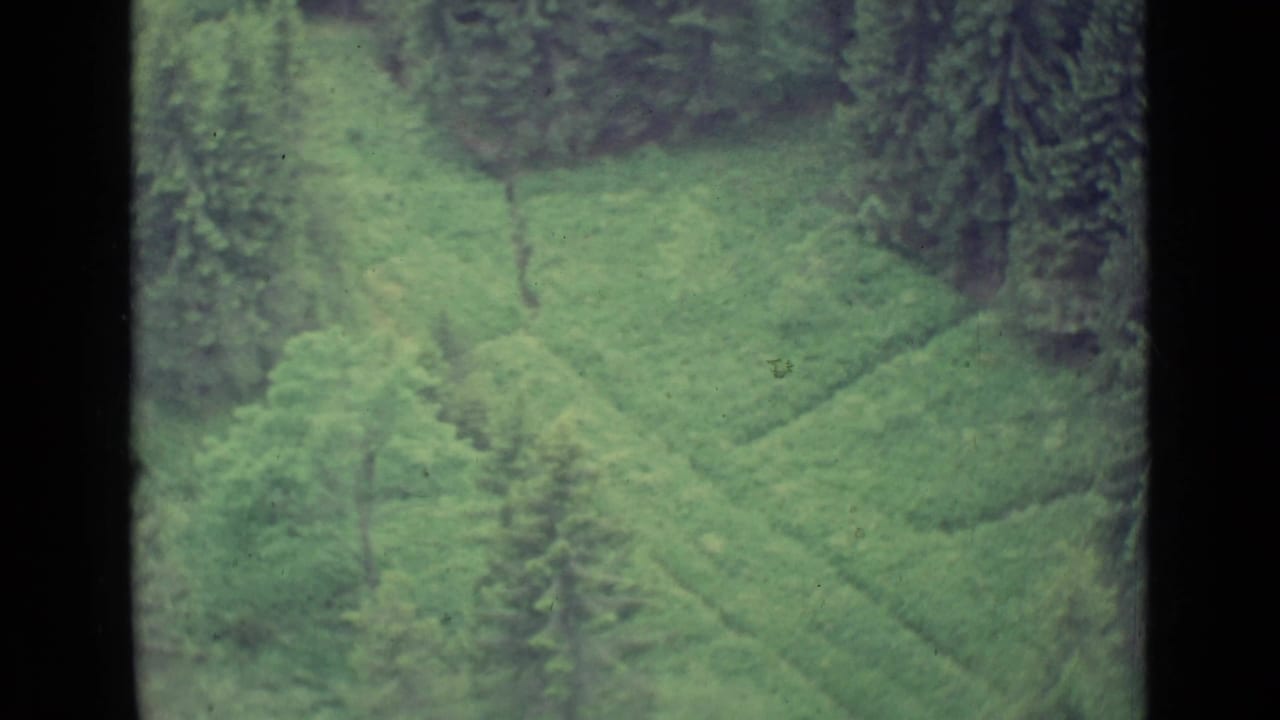 High-angle 8mm view of a forested Lucerne hillside with sloping green fields and dense trees.