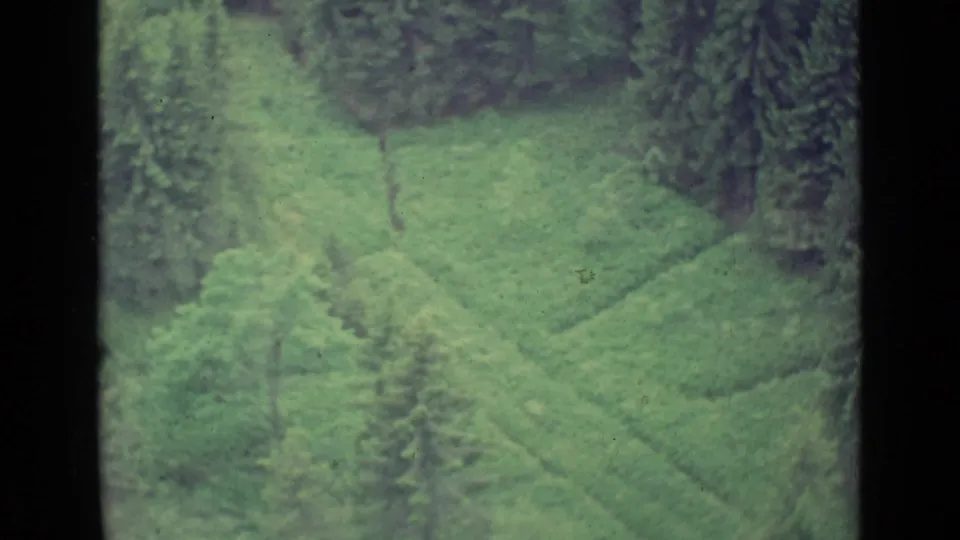 High-angle 8mm view of a forested Lucerne hillside with sloping green fields and dense trees.