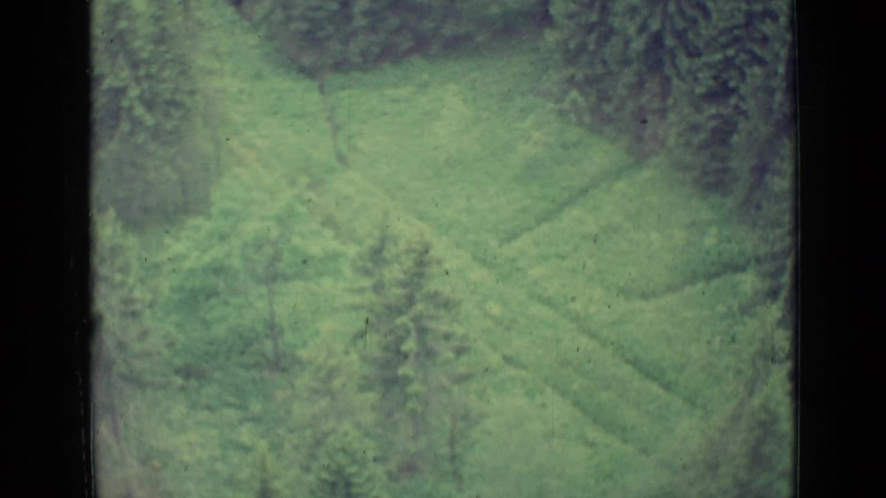 Soft 1962 home-movie frame of a green hillside or valley slope with scattered trees and forest edges near Lucerne.