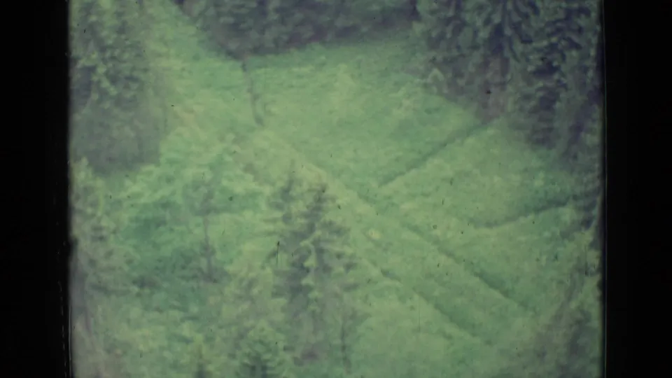 Soft 1962 home-movie frame of a green hillside or valley slope with scattered trees and forest edges near Lucerne.