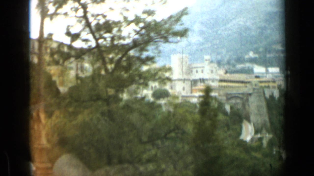 Tree-framed hillside view with pale buildings and a road below.