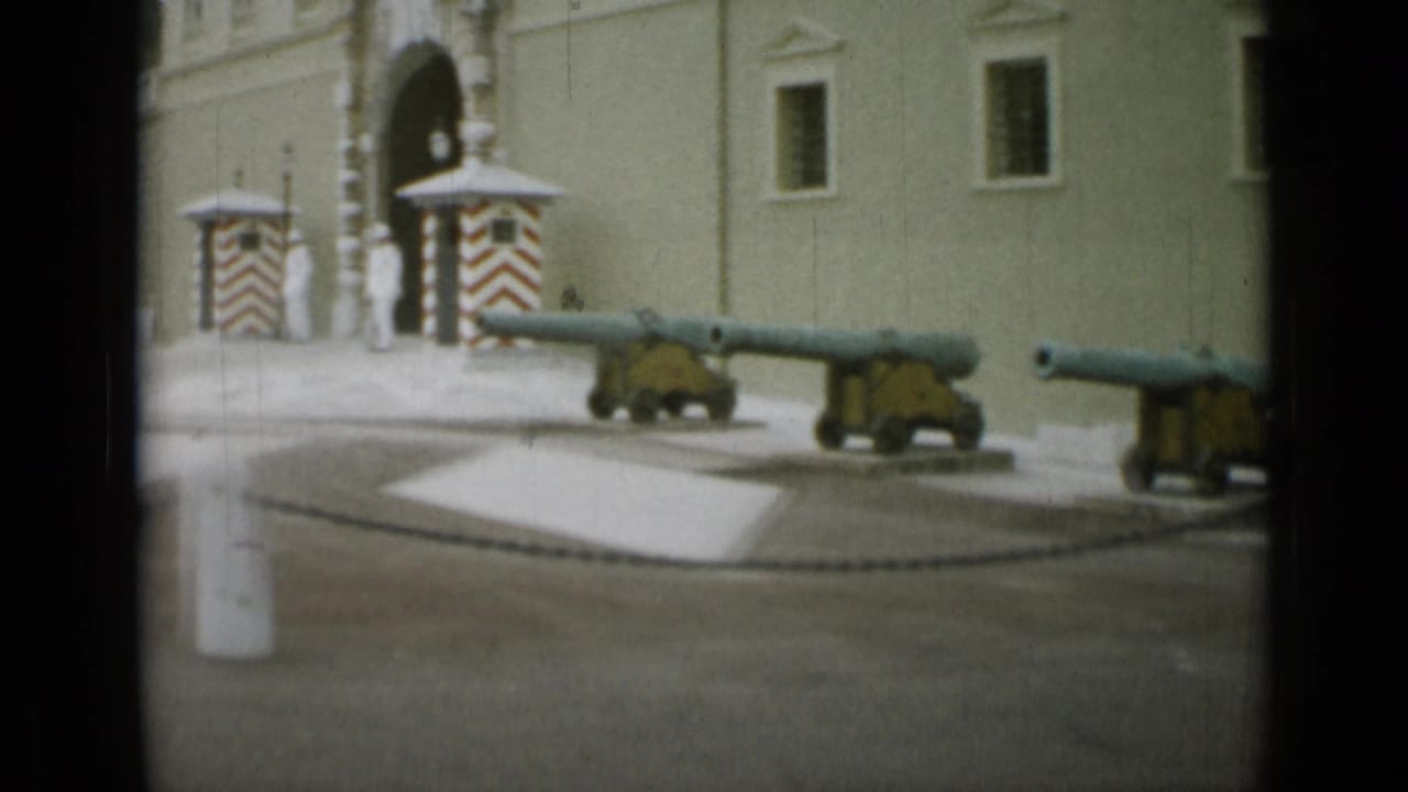 Cannons lined before a pale palace facade with a sentry box and arched entrance.