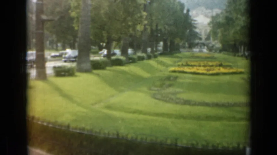 The Monaco park view shifts toward green patterned lawns, yellow flowers, trees, and cars along the nearby street.