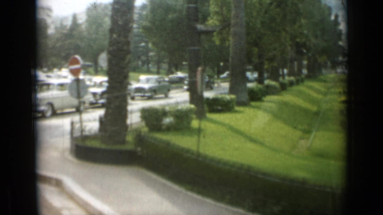 Palm-lined road with lawns, hedges, parked cars, and a stop sign.