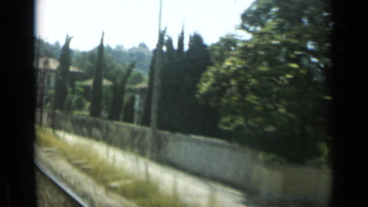 Roadside wall, cypress-like trees, garden greenery, distant hillside, and dark vehicle-window edge.