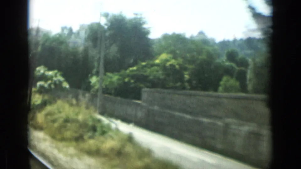 Vehicle-shot Monaco view with a curving wall, dense Mediterranean greenery, utility pole, trees, and hillside light.