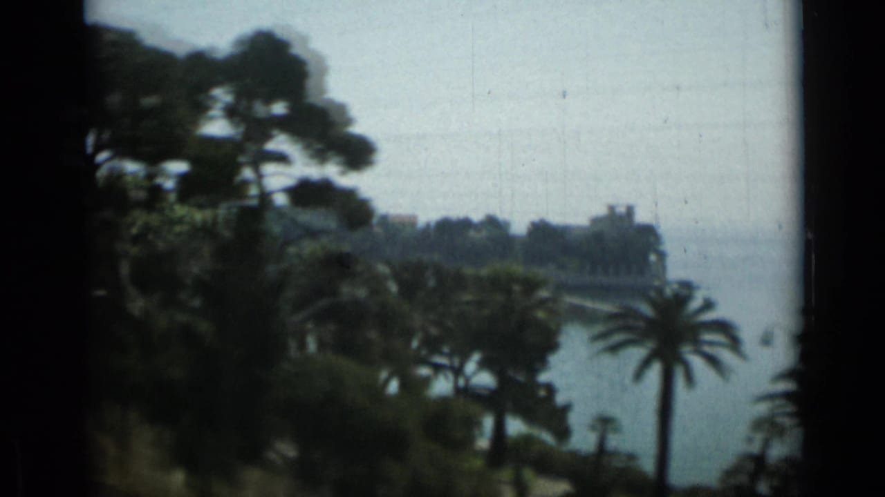 Tree canopy and palms partially obscure a coastal shoreline.