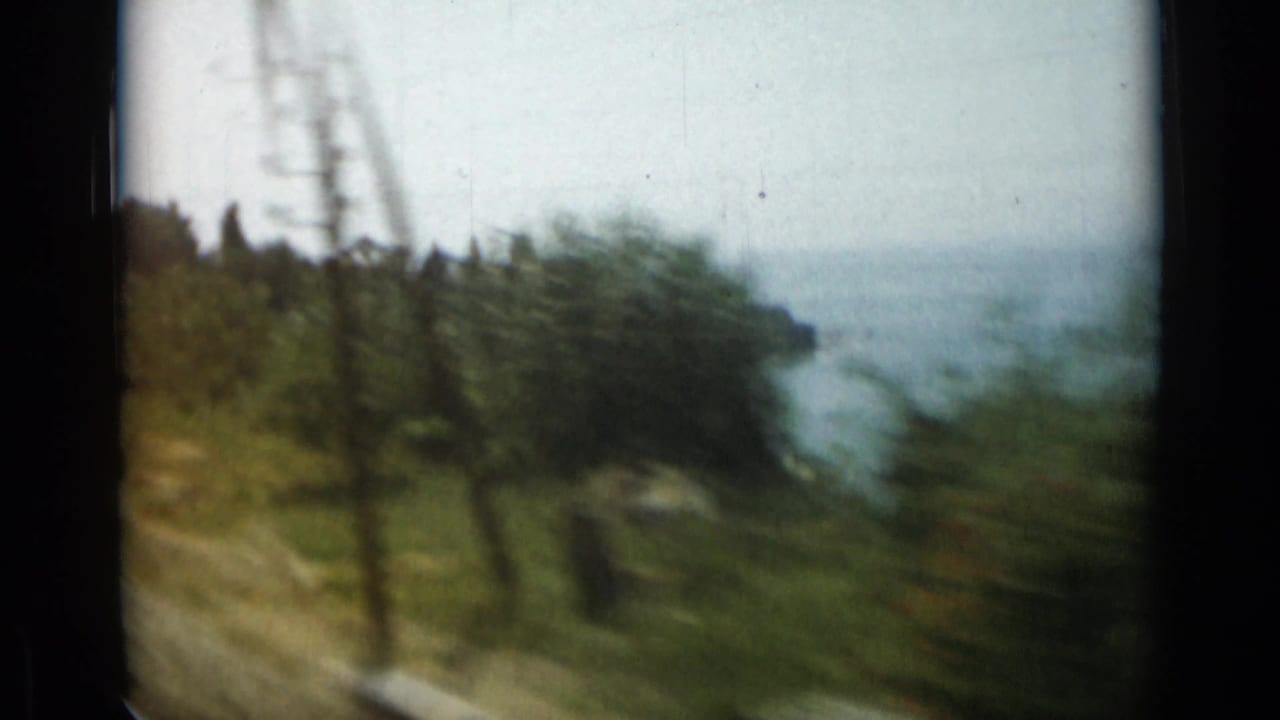 Blurred coastal hillside with trees, utility pole, road edge, and distant sea.