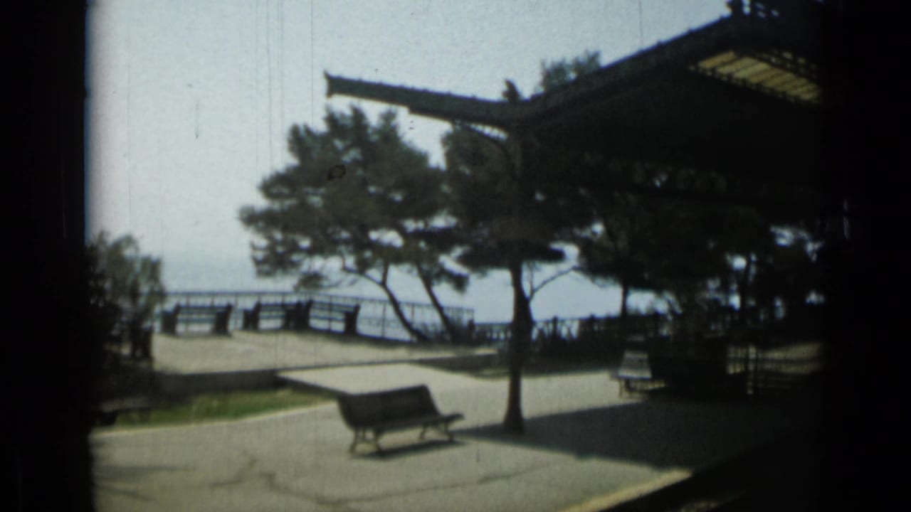 Seaside station platform with benches, pine trees and a shaded canopy near rail tracks.