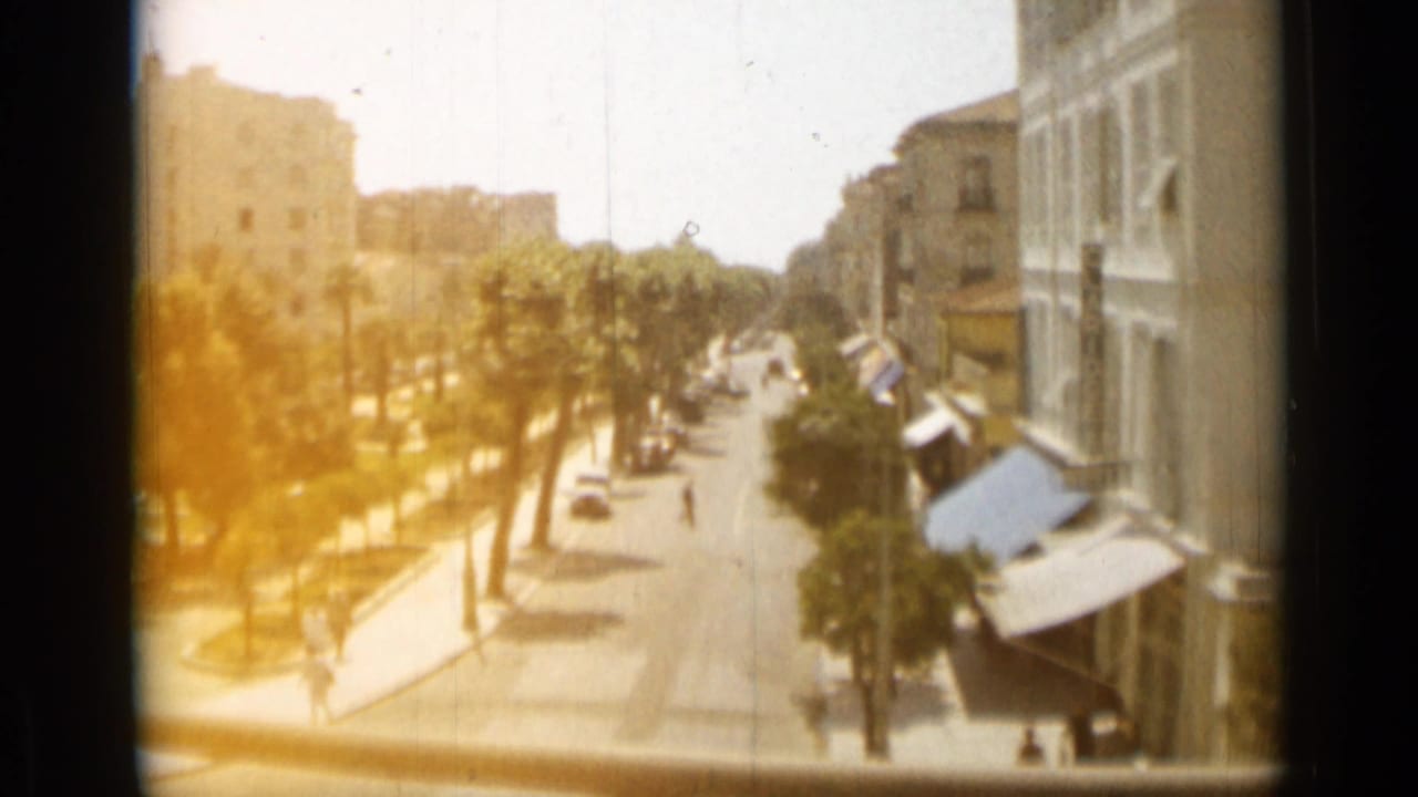 Sunlit palm-lined street with buildings, awnings, cars, and small pedestrians.