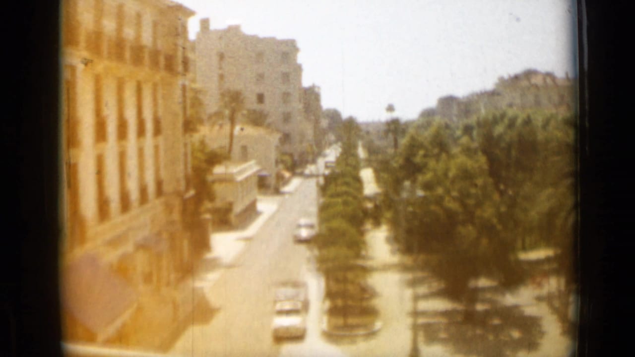 Tree-lined boulevard with cars, tall buildings, and bright sun exposure.