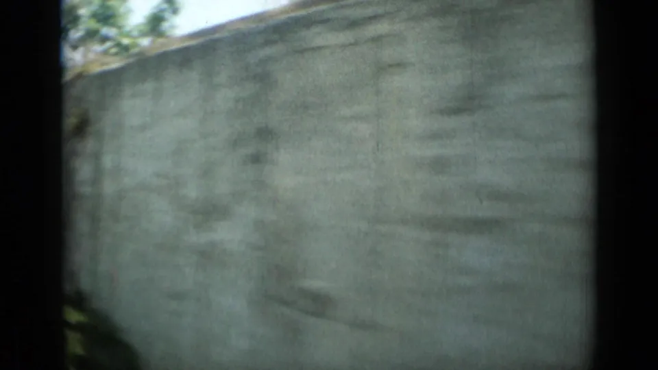 Motion-blurred 1962 Monaco view of a pale masonry wall with foliage at the edges, seen from a moving vehicle or window.
