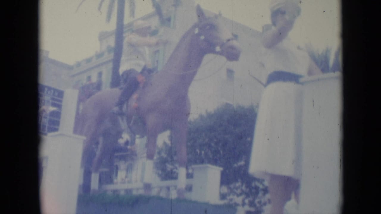 Mounted rider on a brown horse near a white balustrade and palm trees.