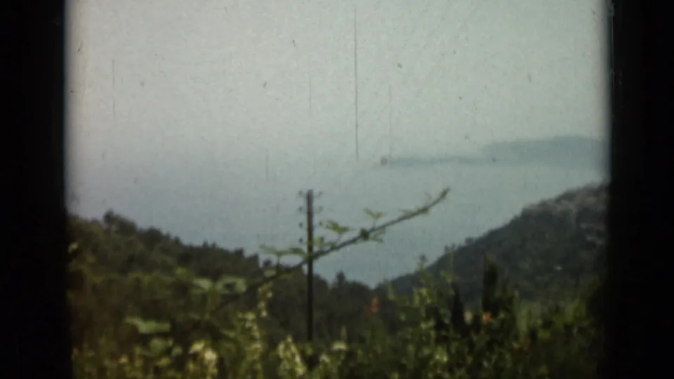 Elevated 1962 Nice travel view looking across green hillside vegetation toward a hazy Mediterranean coastline.