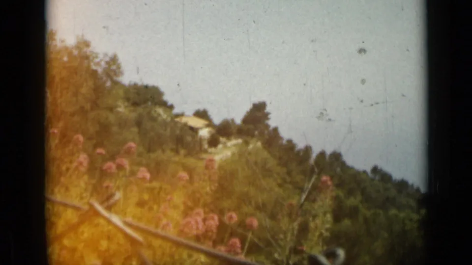 Hillside scene near Nice with a small house, flowering shrubs, wooded slopes, and a hazy sea horizon on 8mm film.