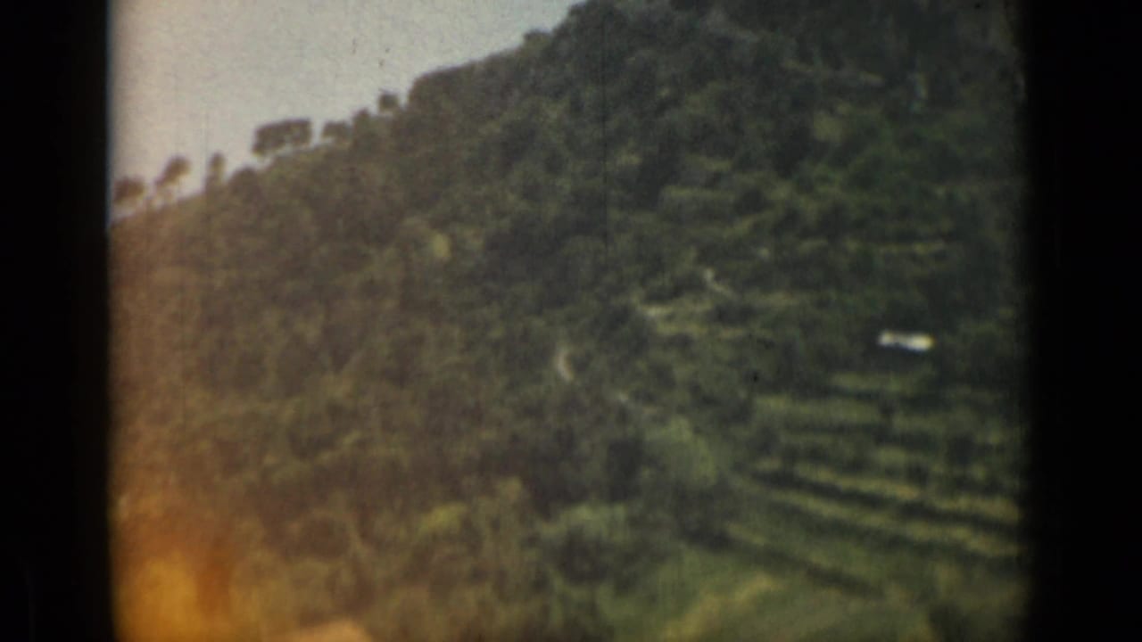 Green terraced hillside with trees and small pale structures in the distance.