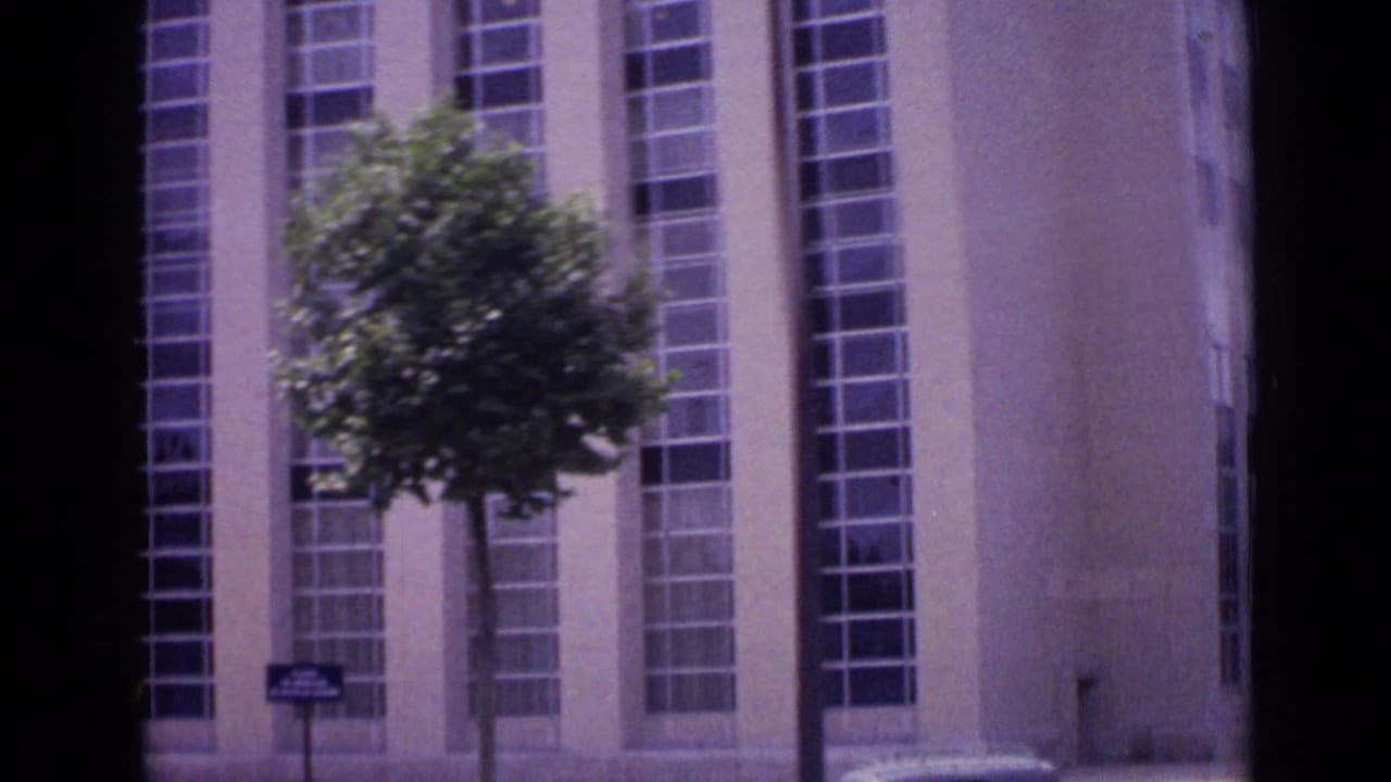 Tall windowed building facade with a street tree and small sign in front.