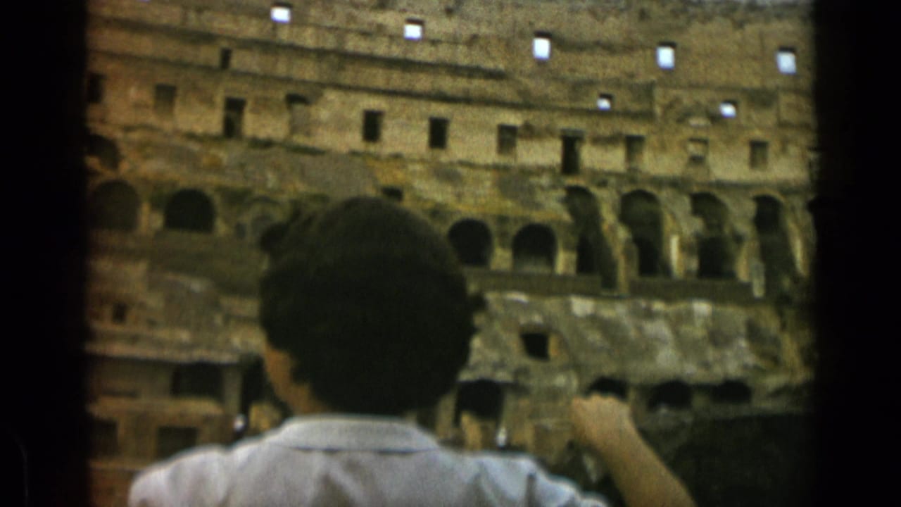 Woman seen from behind looking across the Colosseum interior ruins.