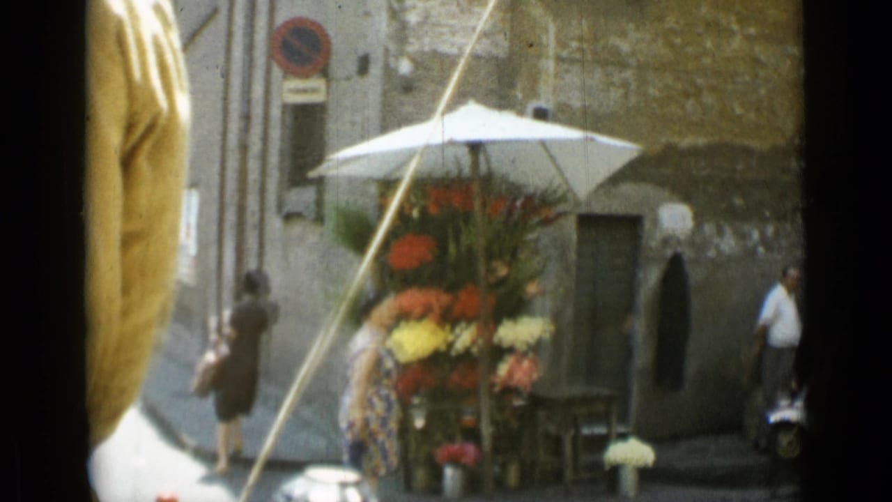 Flower stall under a white umbrella beside a stone wall, with pedestrians and street signs nearby.
