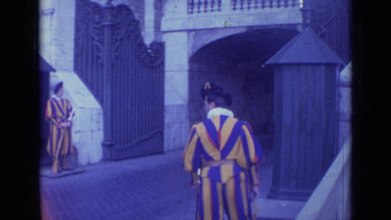 Swiss Guards standing near an ornate gate and small guard box.