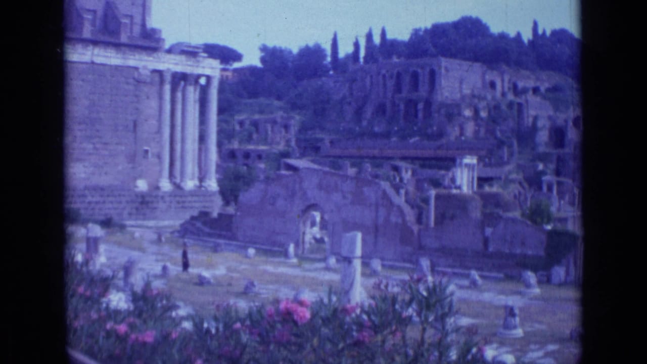 Wide view of columns, ruined masonry, hillside trees, flowers, and a visitor path.