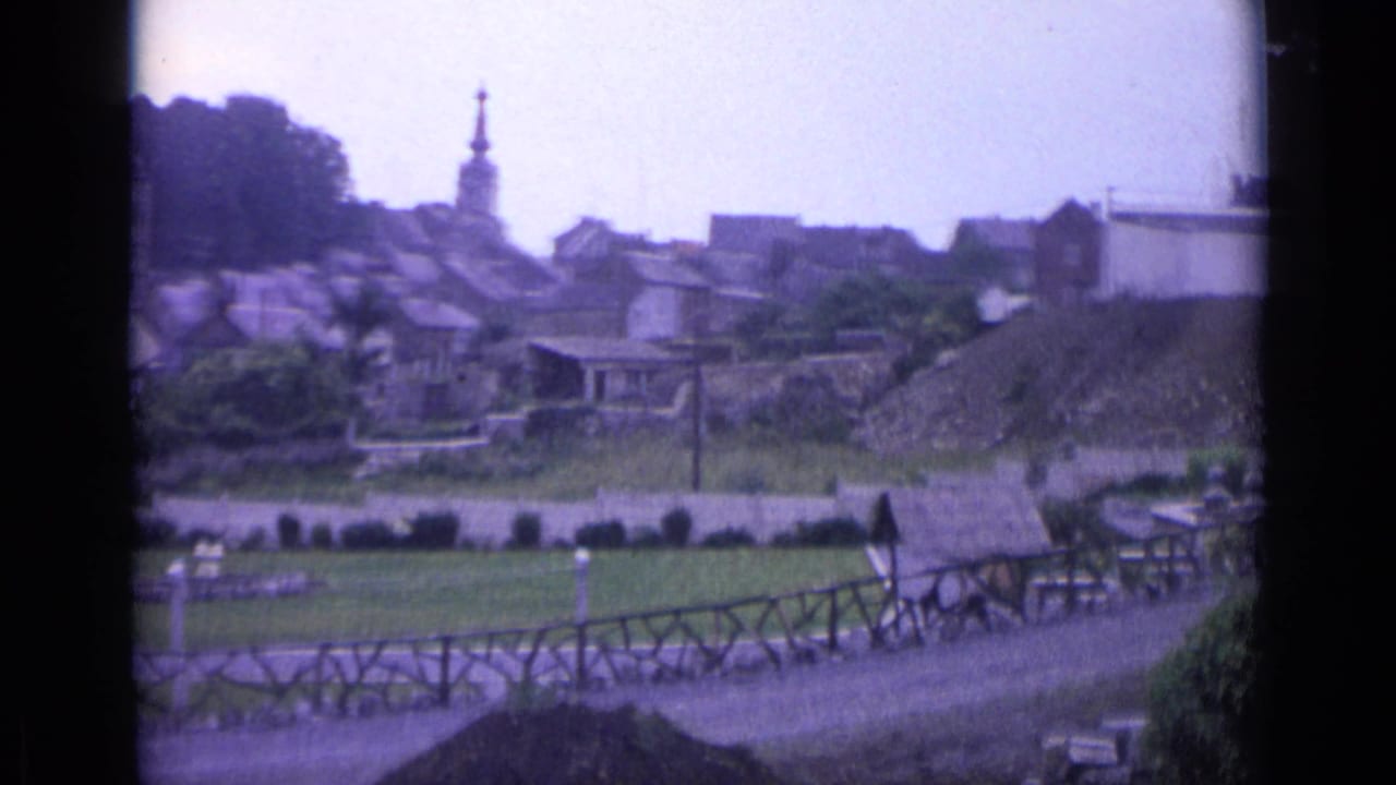 Swiss village in a green valley with rooftops, church steeple, fence, and path.