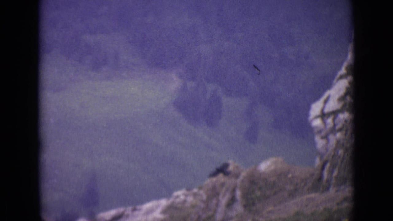Rocky mountain edge with a distant dark bird above hazy slopes.