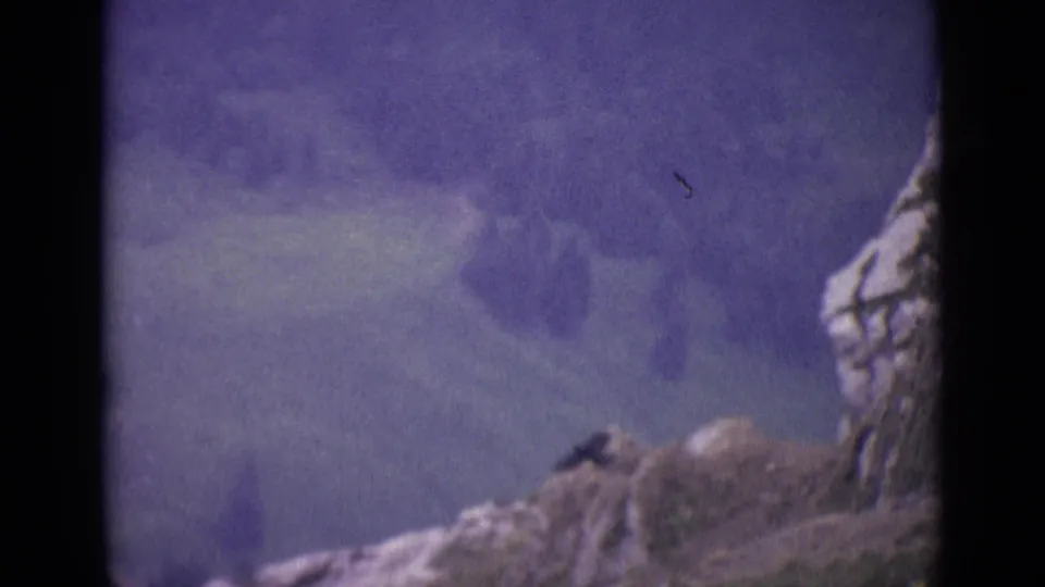 A distant bird glides near a rocky outcrop in 1962 Swiss Alps home-movie footage.