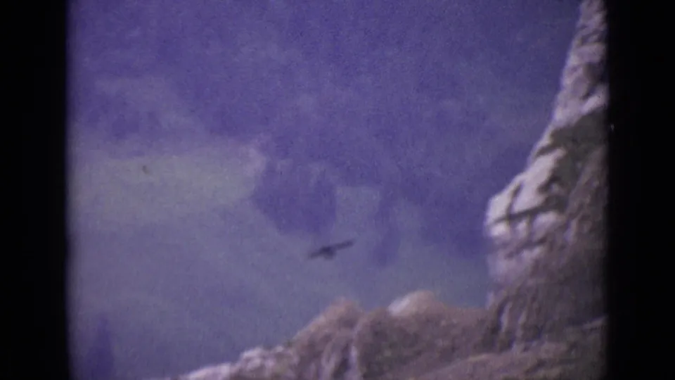 Handheld 8mm view of a bird moving beneath a rugged rock face in the Swiss Alps.
