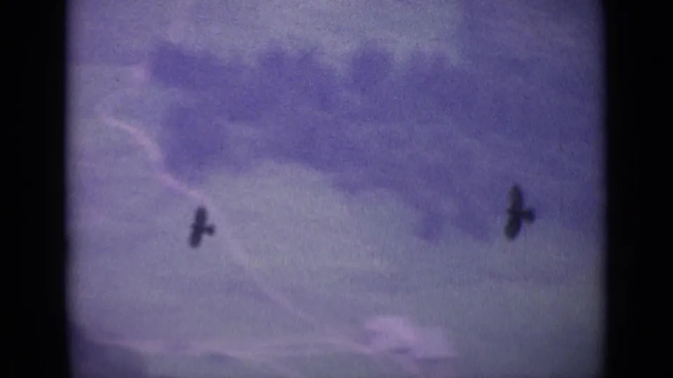 1962 Swiss Alps frame with two dark birds in flight above a hazy valley and winding pale line below.