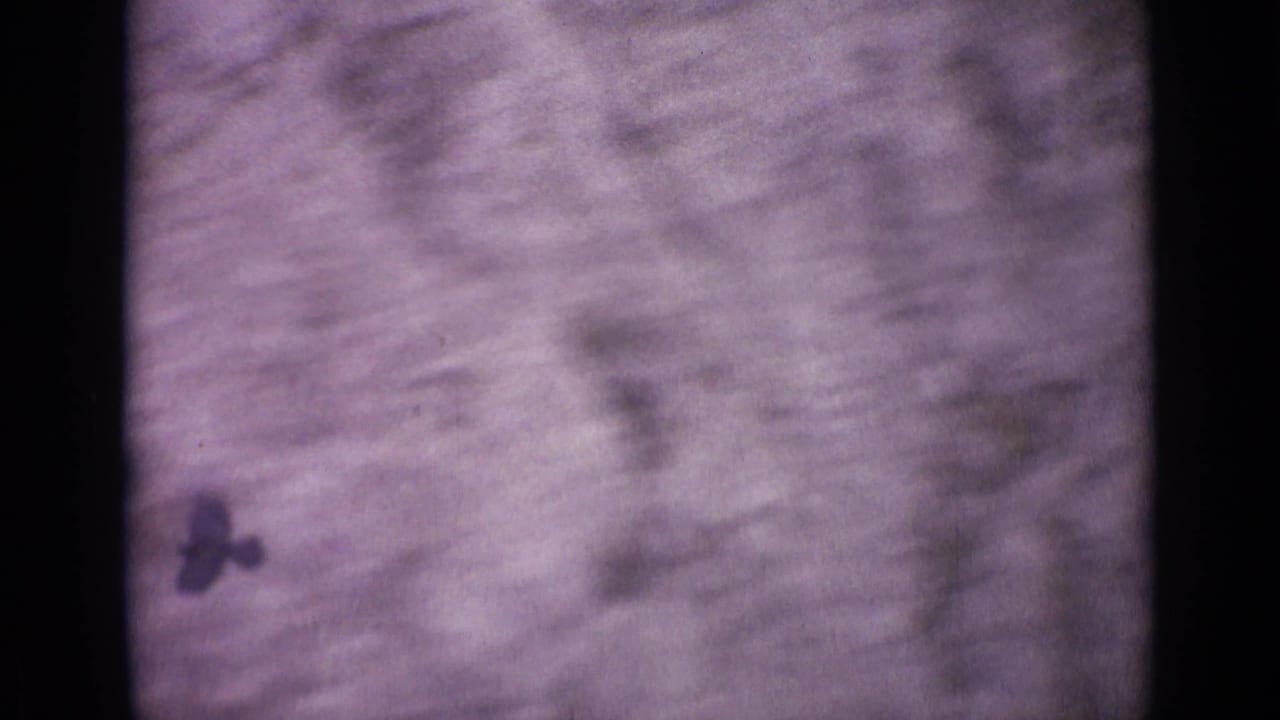 Dark bird-like shapes over a blurred rocky slope with soft film grain.