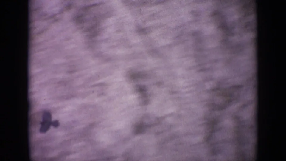A dark bird or bird shadow appears over blurred Swiss mountain terrain in this 1962 8mm home-movie frame.