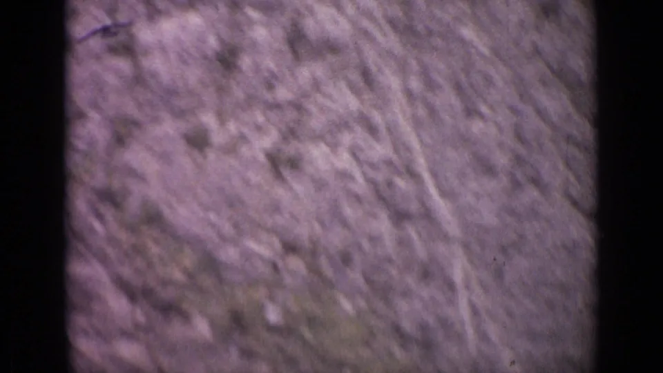 A small dark bird form appears near the top of a purple-tinted 1962 Swiss mountain landscape frame.