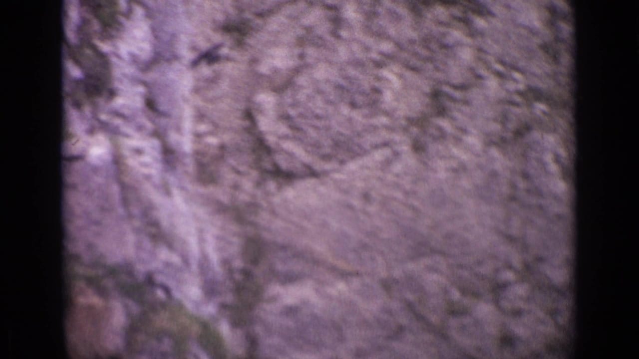 1962 8mm Switzerland footage begins on a soft purple-toned close-up of a rough surface framed by dark film edges.