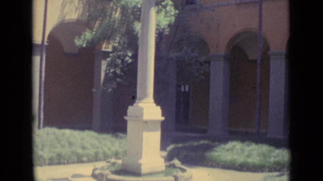 Courtyard arches, white column base, shrubs, palm fronds, and sunlit wall.