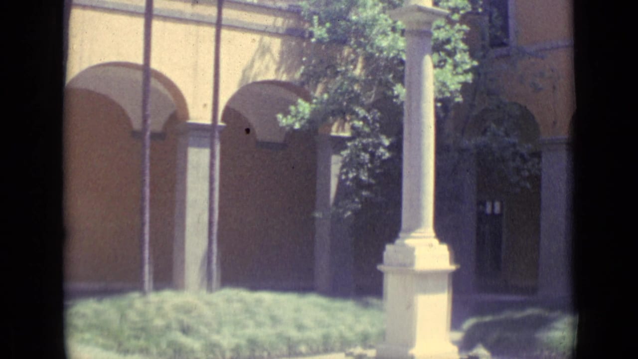 Vatican City courtyard detail with arched colonnades, a statue column, doorway, greenery, and strong midday light.