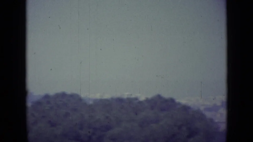 Vatican City-area home-movie view with dark trees in the foreground and a pale, hazy horizon beyond.