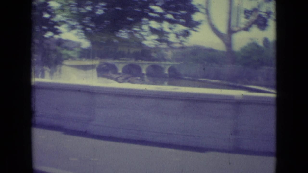Stone bridge and riverside wall seen past trees from a moving vehicle.