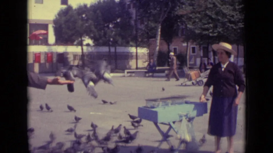 1962 Venice frame showing pigeons in flight and on the ground near a woman in a straw hat, with trees and a handcart in the square behind her.