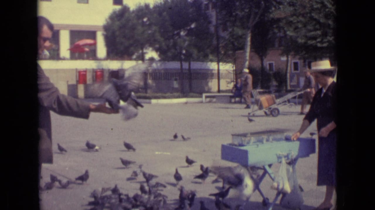 Man at left extends a hand toward pigeons while a woman stands beside a small cart in a sunny square.