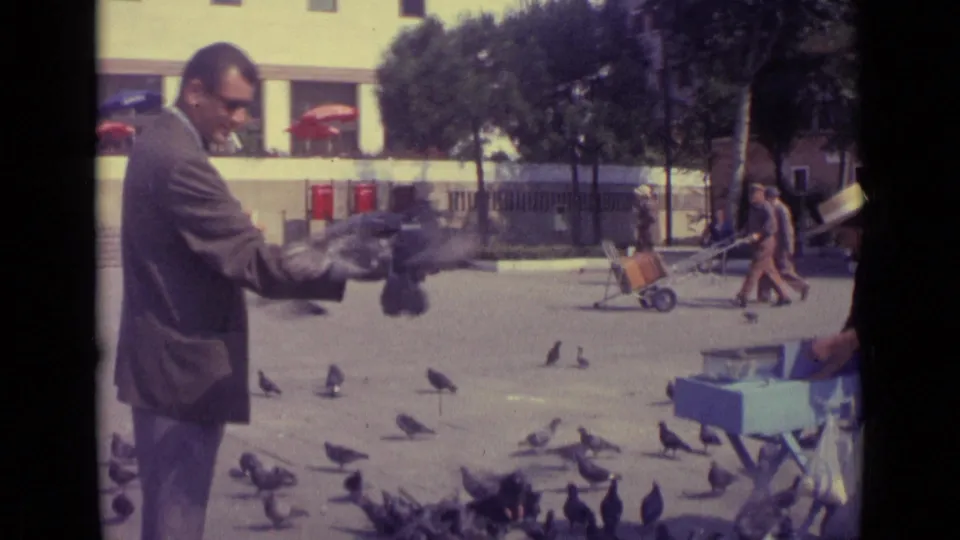 A suited man with glasses feeds pigeons in a sunlit Venice square, with birds in motion and pedestrians in the background.