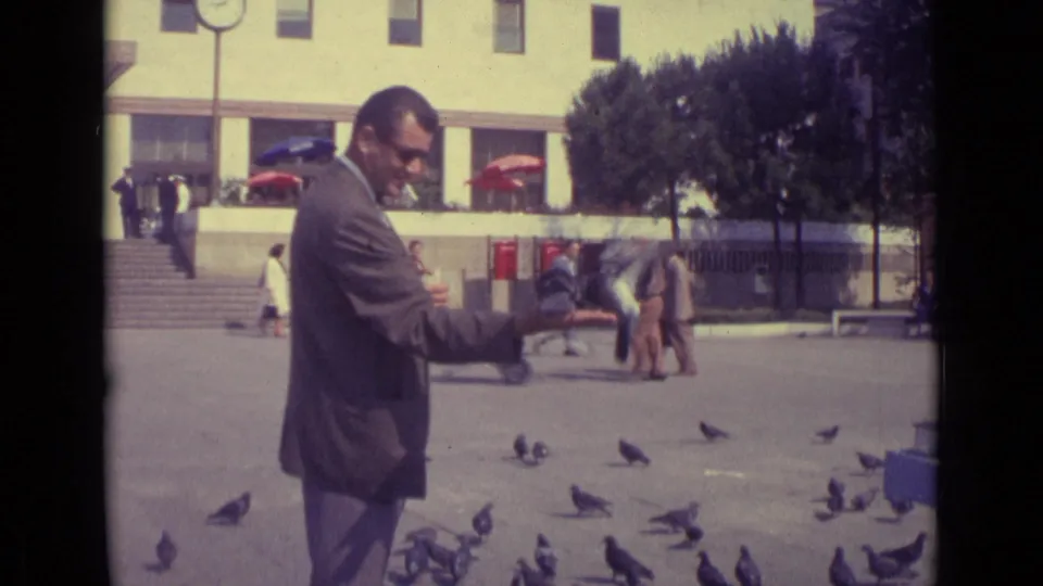 Near the end of the Venice 8mm clip, the suited man continues feeding pigeons in the square as background pedestrians walk past steps and trees.