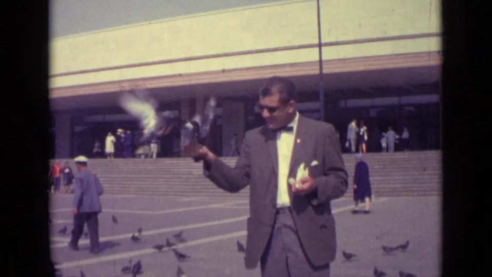 A 1962 Venice home-movie frame shows a man in a suit feeding pigeons as birds lift off near plaza steps and passing pedestrians.
