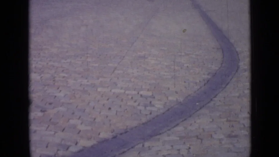 Soft, faded 8mm frame of Versailles plaza paving, with a curved stone border visible across the cobblestones.